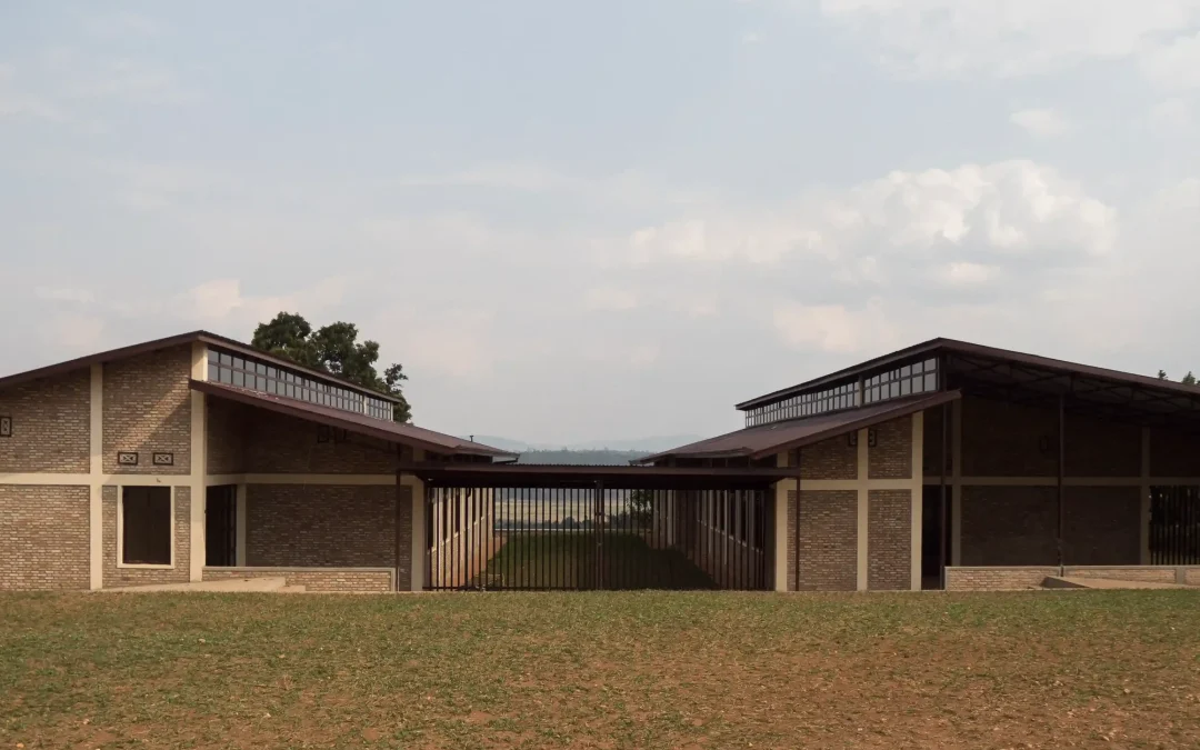 Dar vida a costa de perder la tuya