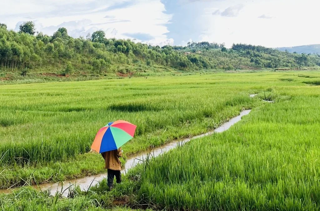 Maestros del arte de vivir
