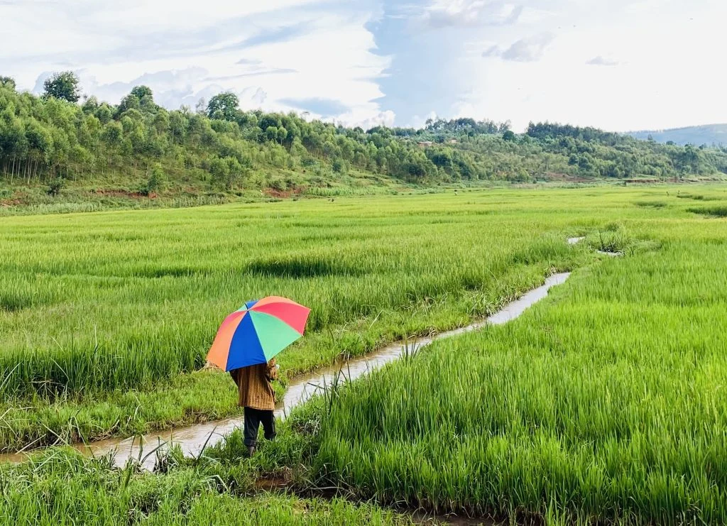 Paisaje de Burundi impresionante